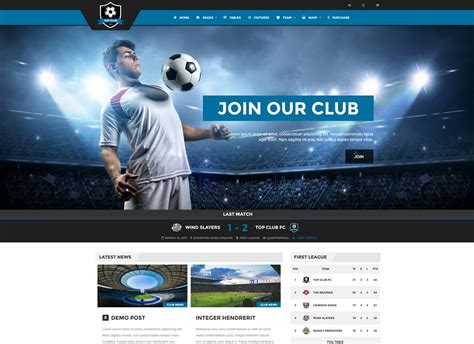 wordpress theme for online contest.